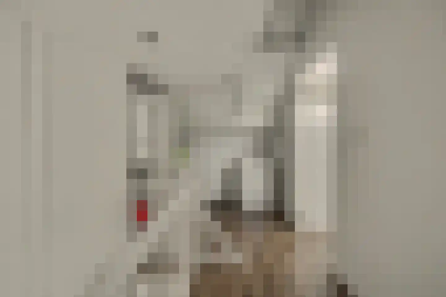 Korte Achterweg 8 's-Heer Arendskerke thumbnail 28