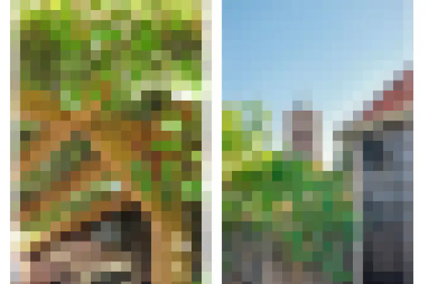 Korte Achterweg 8 's-Heer Arendskerke thumbnail 34