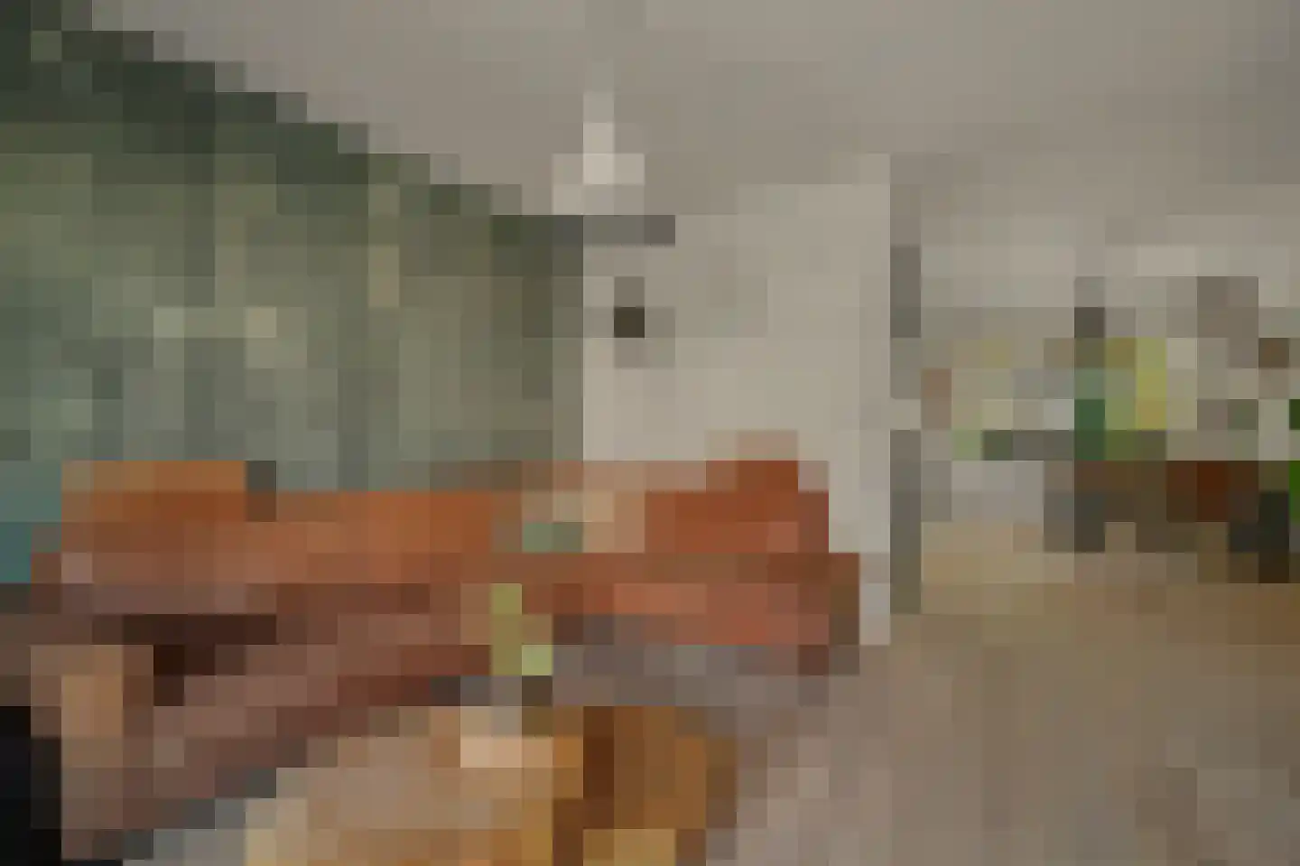 Korte Achterweg 8 's-Heer Arendskerke thumbnail 8