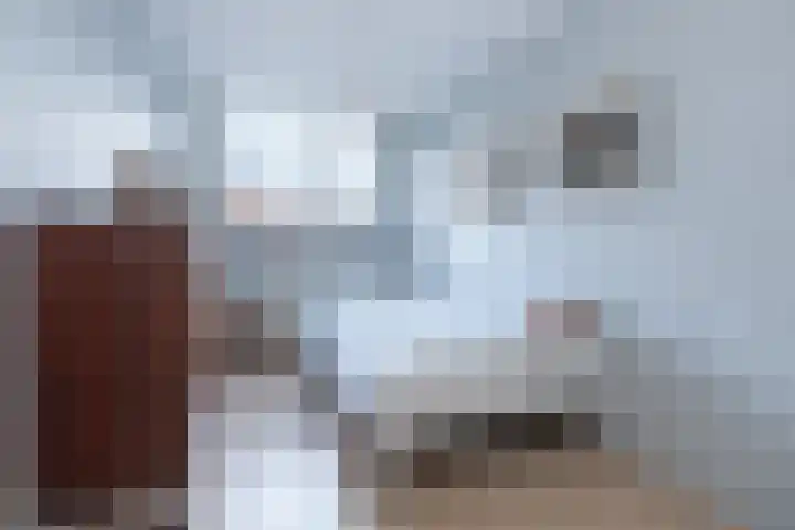 Korte Akker 16 Barneveld thumbnail 22