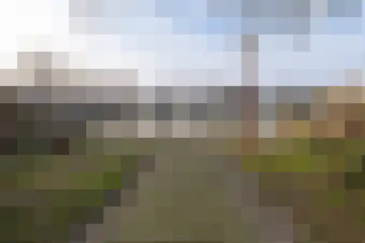 Korte Akker 16 Barneveld thumbnail 47