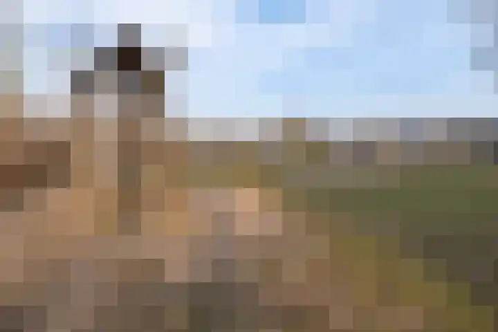 Korte Akker 16 Barneveld thumbnail 48