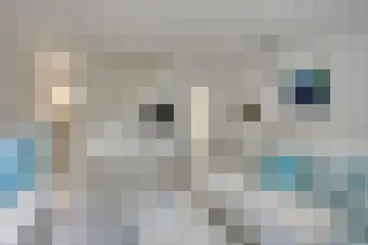 Korte Akker 23 Druten foto 2