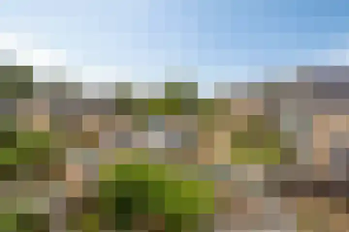Korte Akker 23 Druten thumbnail 26