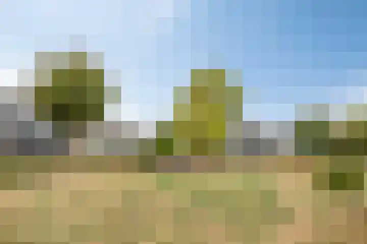 Korte Akker 23 Druten thumbnail 32