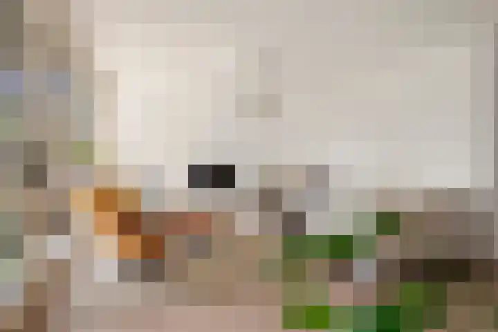 Korte Akker 24 Druten thumbnail 17