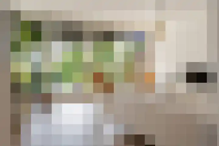 Korte Akker 24 Druten thumbnail 18