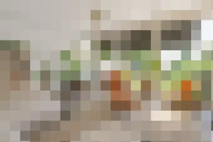 Korte Akker 24 Druten foto 2