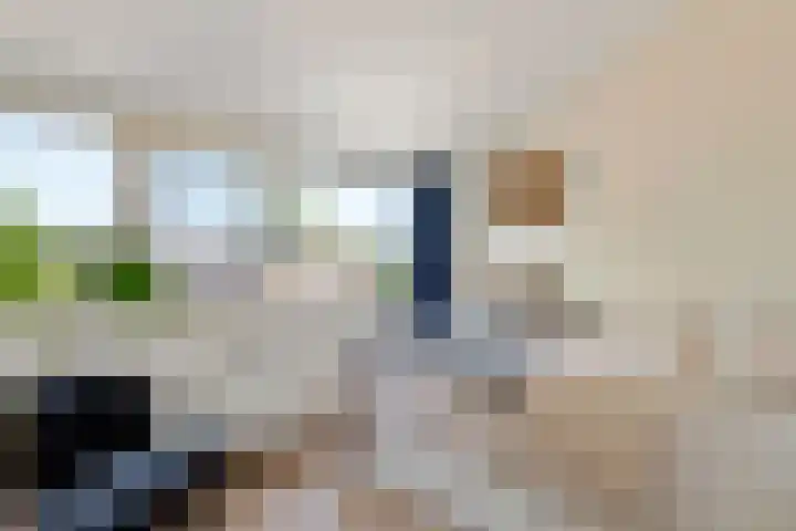 Korte Akker 24 Druten thumbnail 23