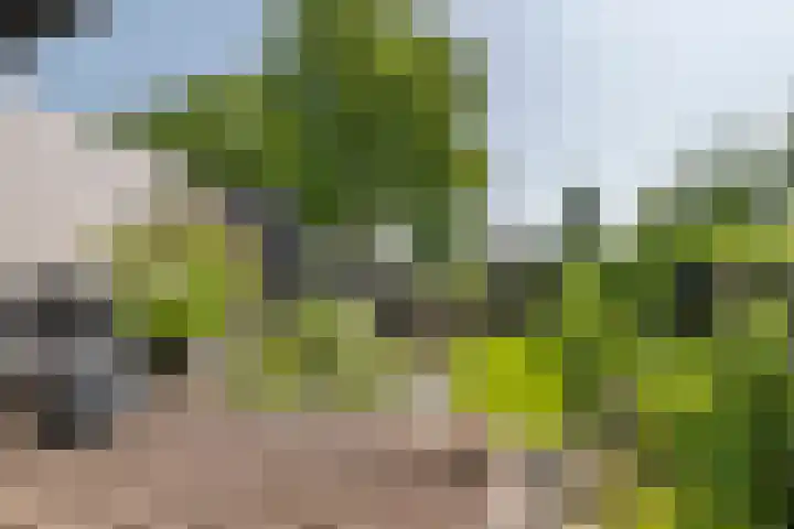 Korte Akker 24 Druten thumbnail 33