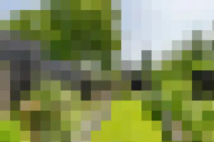 Korte Akker 24 Druten thumbnail 35