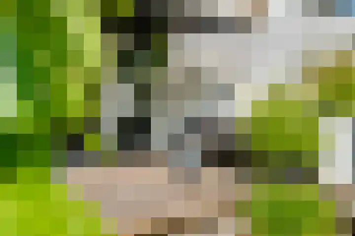 Korte Akker 24 Druten thumbnail 36