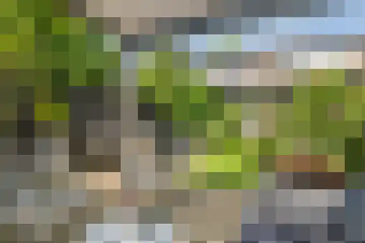 Korte Akker 24 Druten thumbnail 39