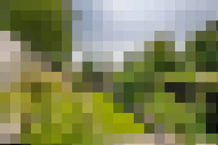Korte Akker 24 Druten thumbnail 40