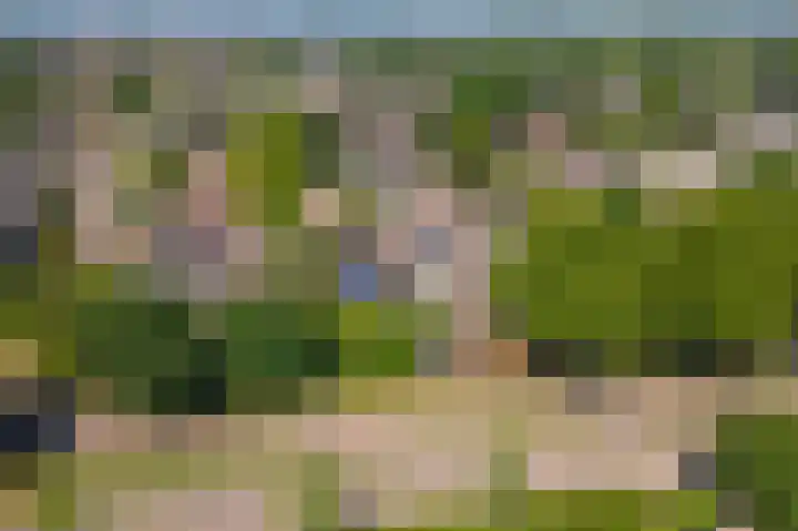 Korte Akker 24 Druten thumbnail 43