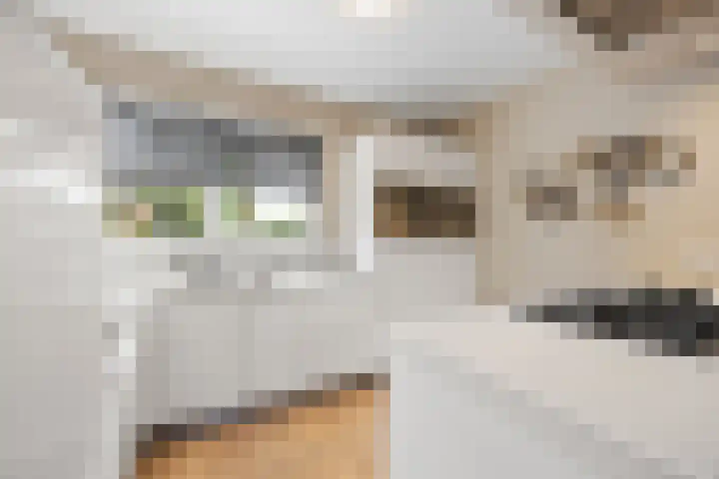 Korte Akker 27 Druten thumbnail 13
