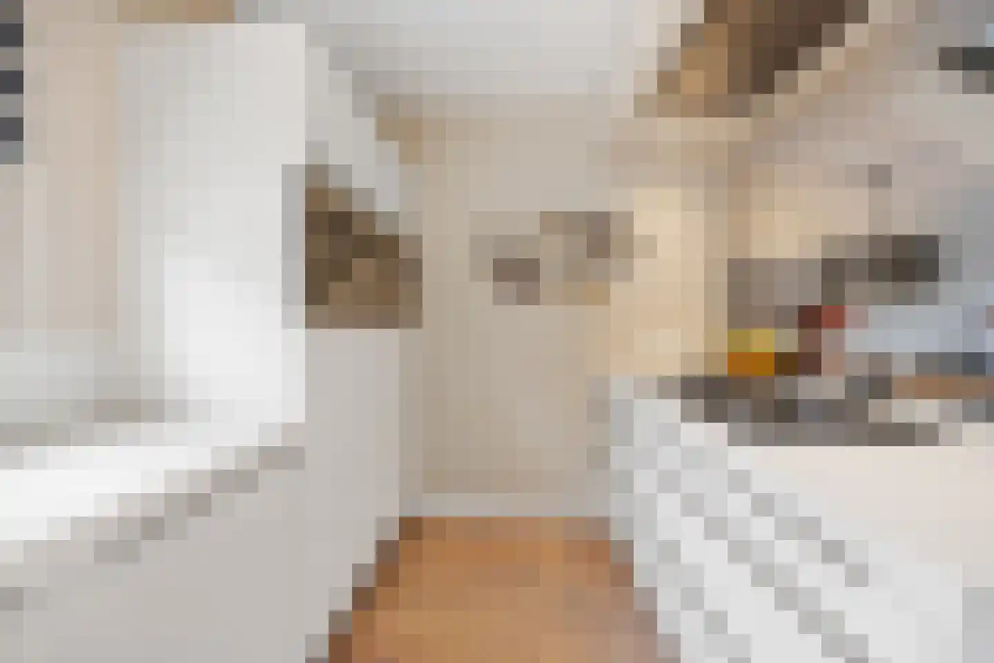 Korte Akker 27 Druten thumbnail 14