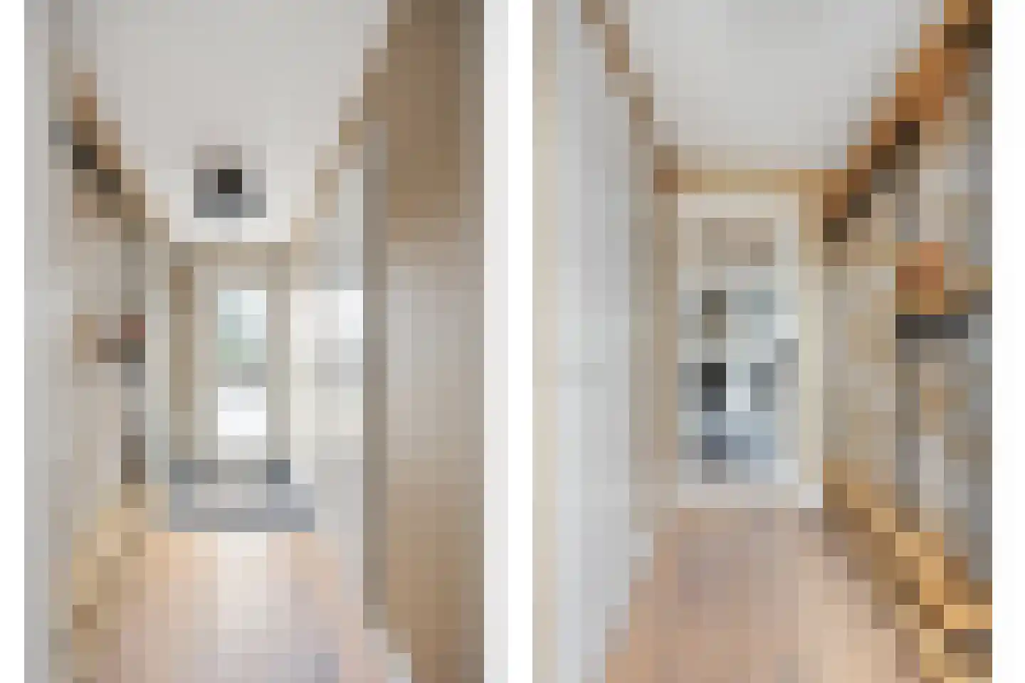 Korte Akker 27 Druten thumbnail 17