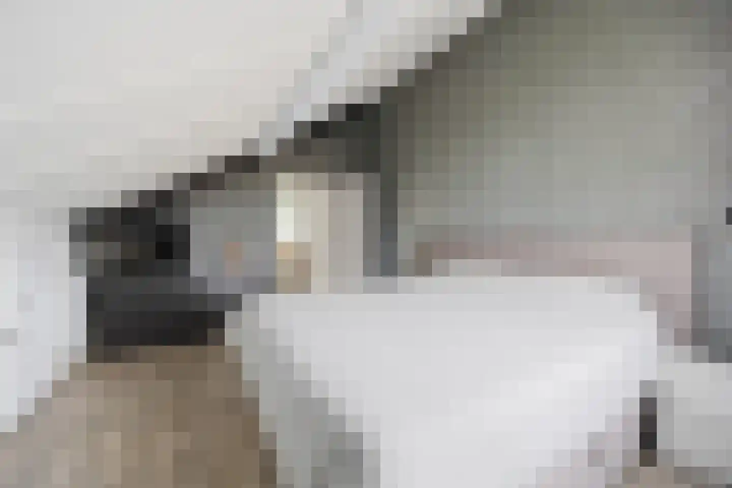 Korte Akker 27 Druten thumbnail 36