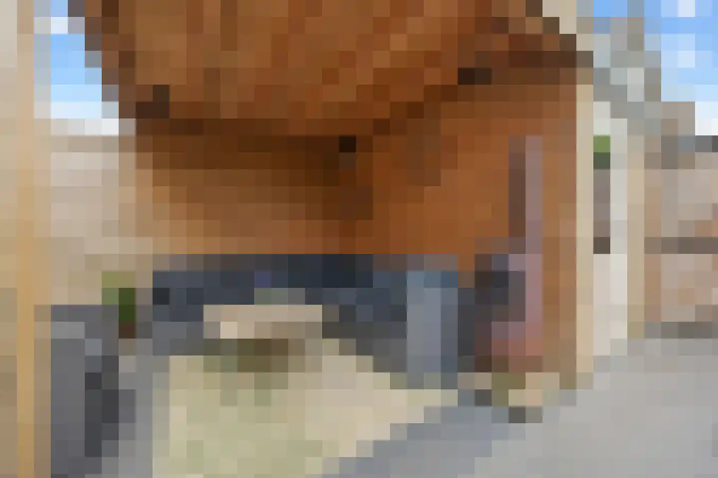 Korte Akker 27 Druten thumbnail 40