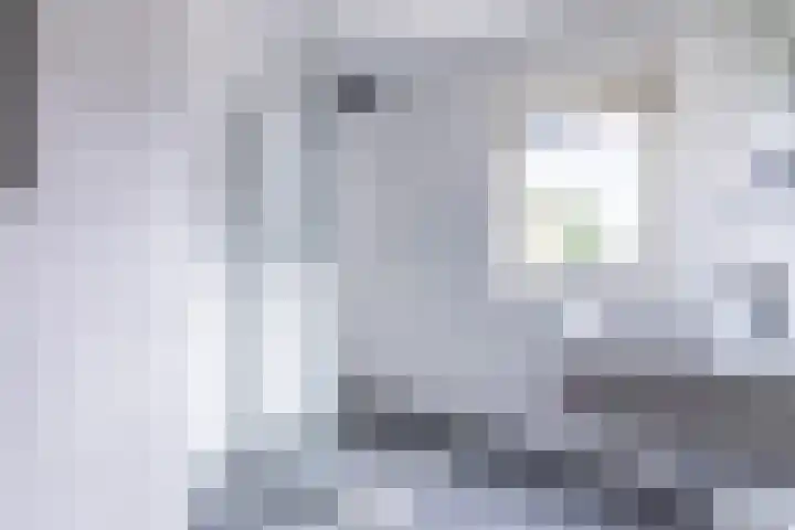 Korte Akker 37 Druten thumbnail 24
