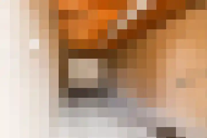 Korte Akker 37 Druten thumbnail 43