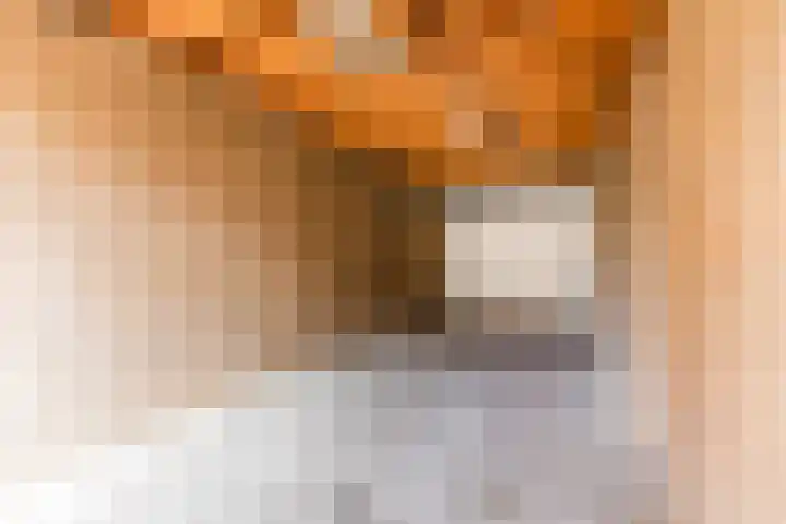 Korte Akker 37 Druten thumbnail 44