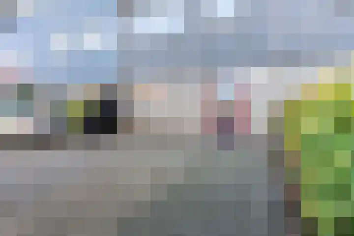Korte Akker 49 Druten foto 2
