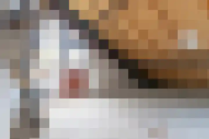 Korte Akker 49 Druten thumbnail 24