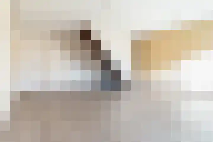 Korte Akker 49 Druten thumbnail 4