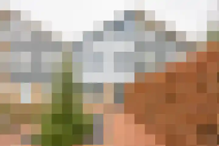 Korte Akker 69 Druten