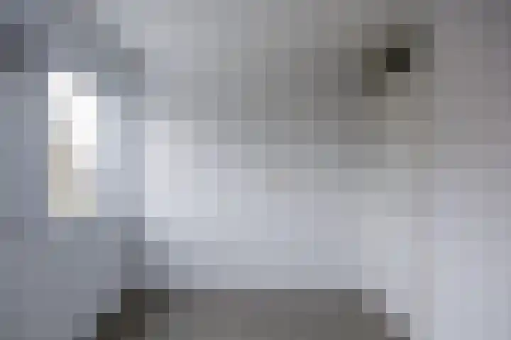 Korte Akker 69 Druten thumbnail 22