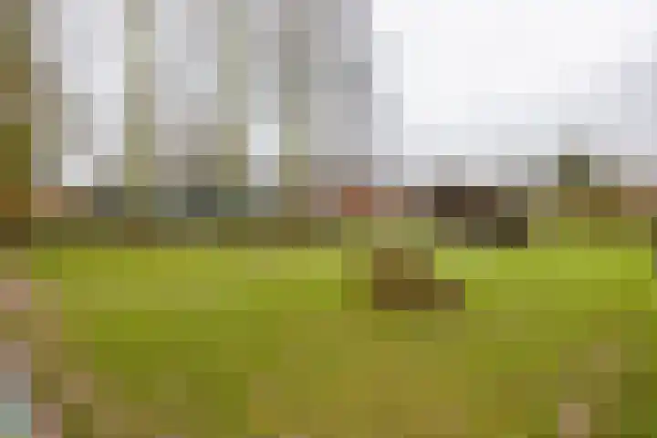 Korte Akker 69 Druten thumbnail 34