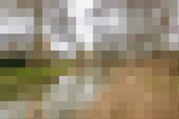 Korte Akker 69 Druten thumbnail 37