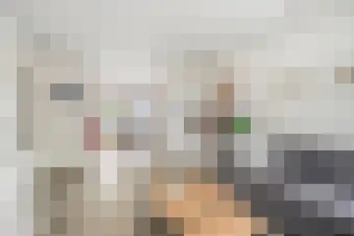Korte Akkers 15 Koewacht thumbnail 10