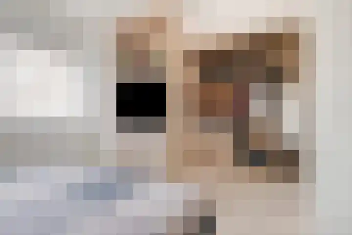 Korte Akkers 15 Koewacht thumbnail 19