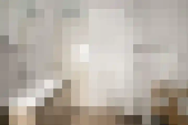 Korte Akkers 15 Koewacht thumbnail 24