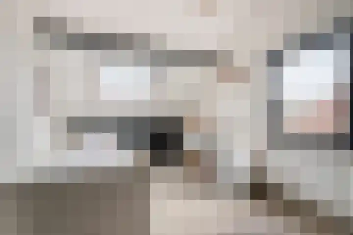 Korte Akkers 15 Koewacht thumbnail 27