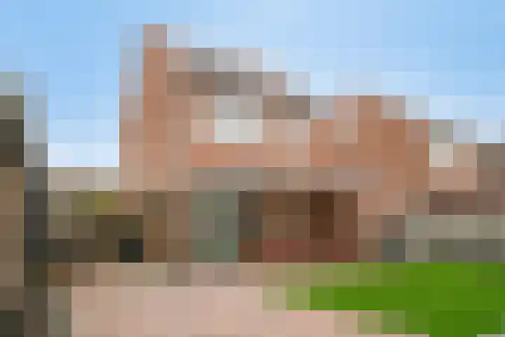 Korte Akkers 15 Koewacht thumbnail 29