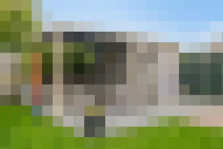 Korte Akkers 15 Koewacht thumbnail 34
