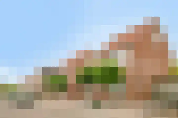 Korte Akkers 15 Koewacht thumbnail 39
