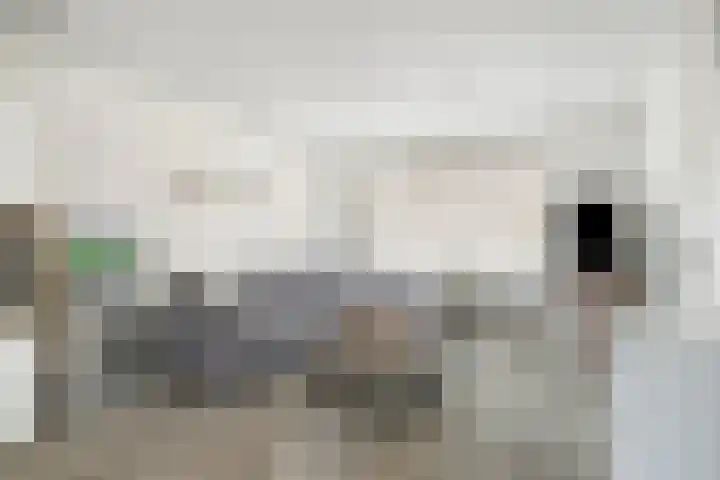 Korte Akkers 15 Koewacht thumbnail 7