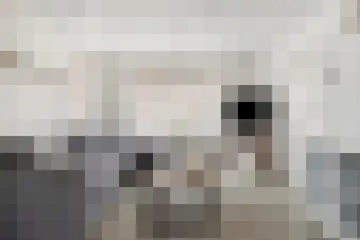 Korte Akkers 15 Koewacht thumbnail 8