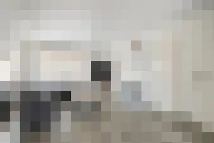 Korte Akkers 15 Koewacht thumbnail 9