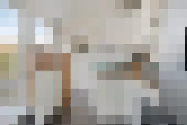 Korte Akkers 6 Koewacht thumbnail 10