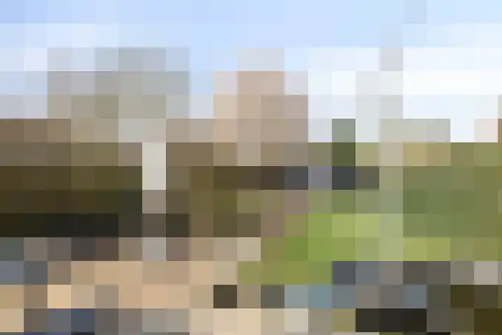 Korte Akkers 6 Koewacht thumbnail 19