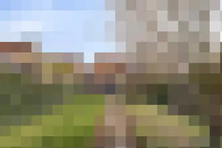 Korte Akkers 6 Koewacht thumbnail 20