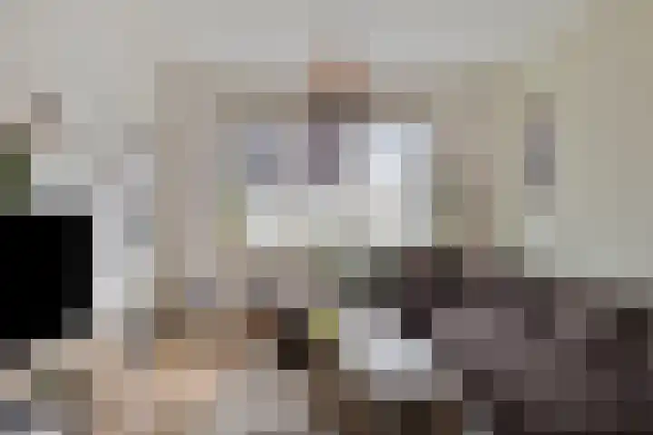Korte Akkers 6 Koewacht foto 3