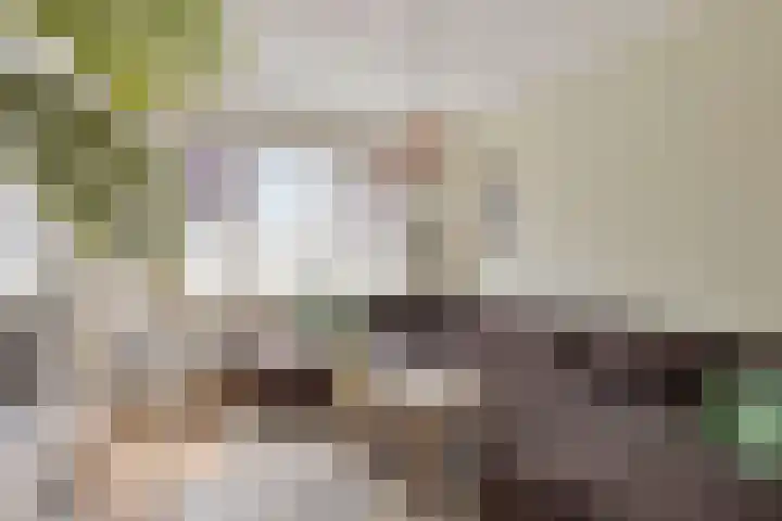 Korte Akkers 6 Koewacht thumbnail 6
