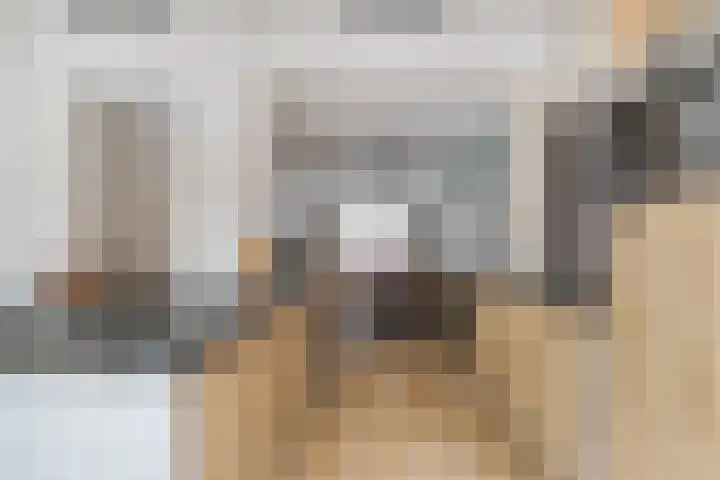Korte Akkers 7 Koewacht thumbnail 10